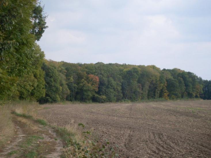 Кунка з panoramio.com - Кунка