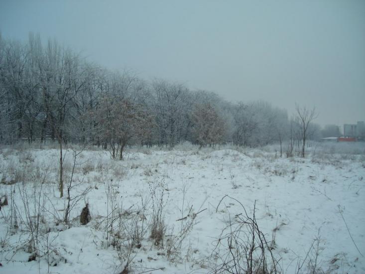 Слов'яносербка з panoramio.com - Славяносербка