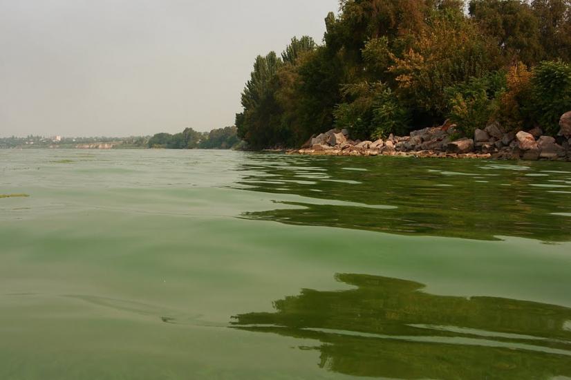 Менжинське з panoramio.com - Менжинское