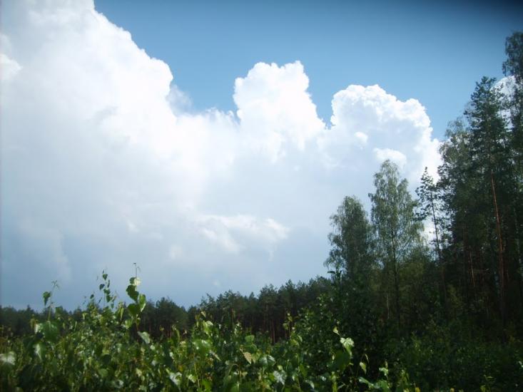 Тополівка з panoramio.com - Тополівка