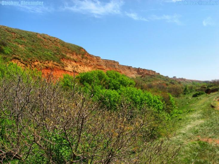 Осипенко з panoramio.com - Осипенко
