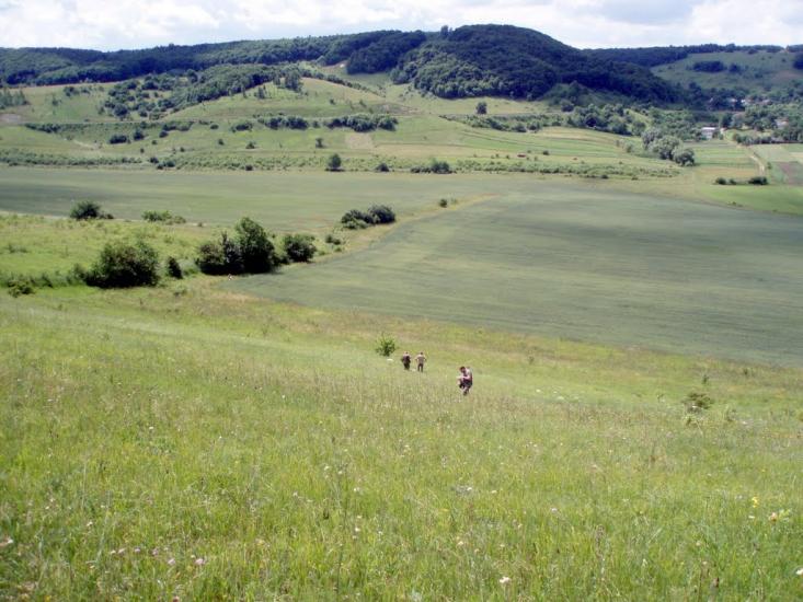 Гутисько з panoramio.com - Гутисько