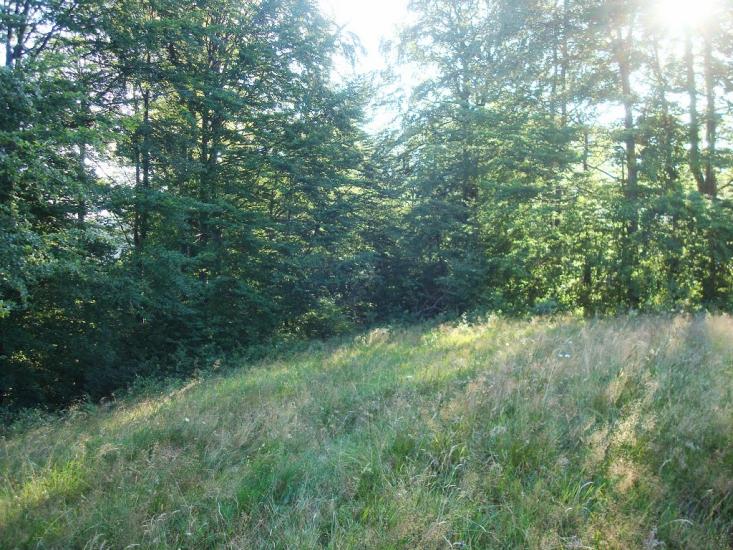 Красна з panoramio.com - Krasna