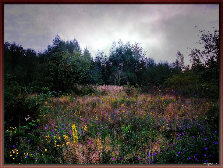 Кам'яниця з panoramio.com - Кам'яниця