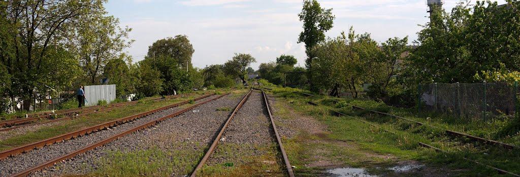 Гребінки з panoramio.com - Гребенки