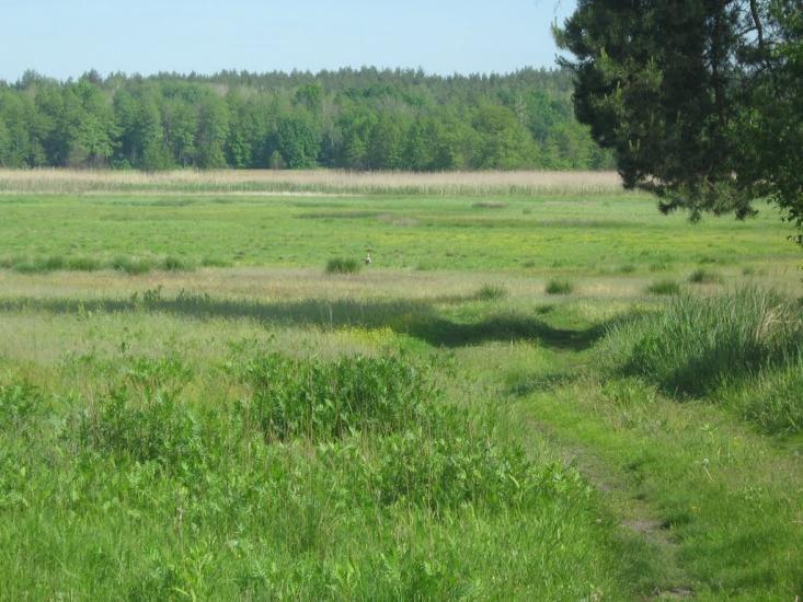 Колісники з panoramio.com - Колісники