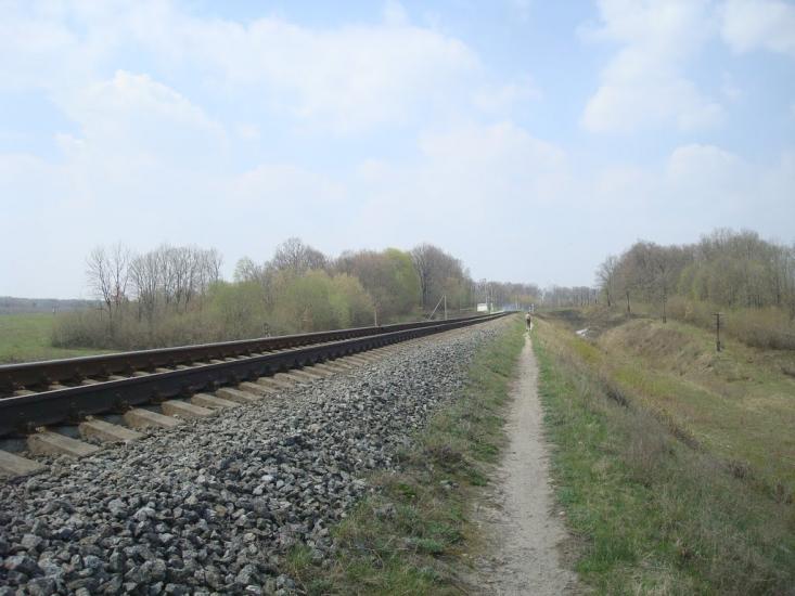 Лісова Волиця з panoramio.com - Лесовая Волица