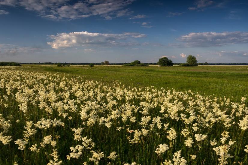 Єньків з panoramio.com - Еньков