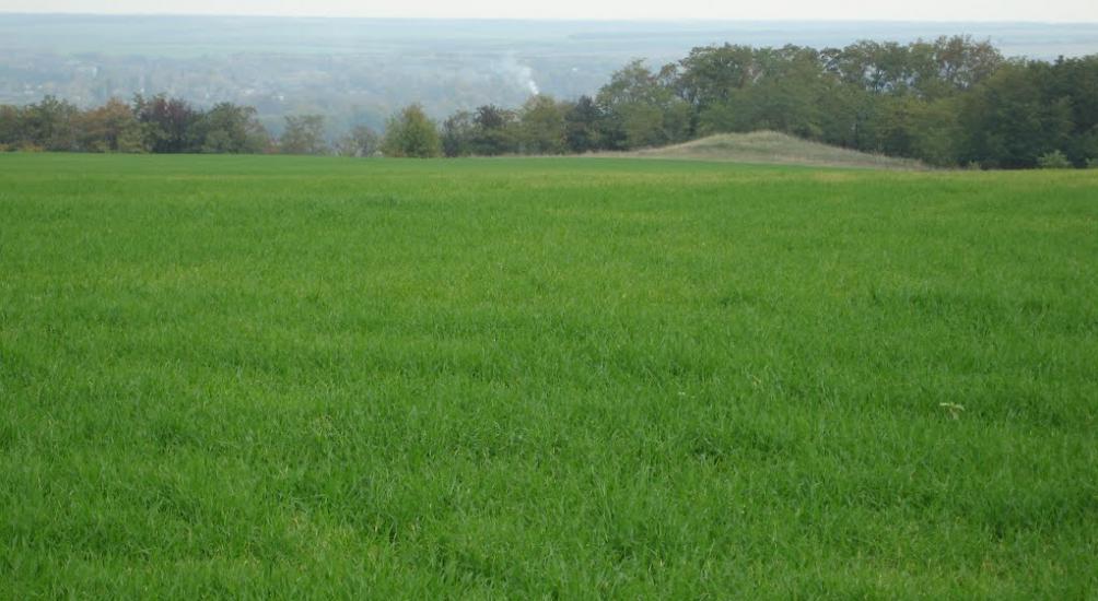 Хворостянівка з panoramio.com - Хворостяновка