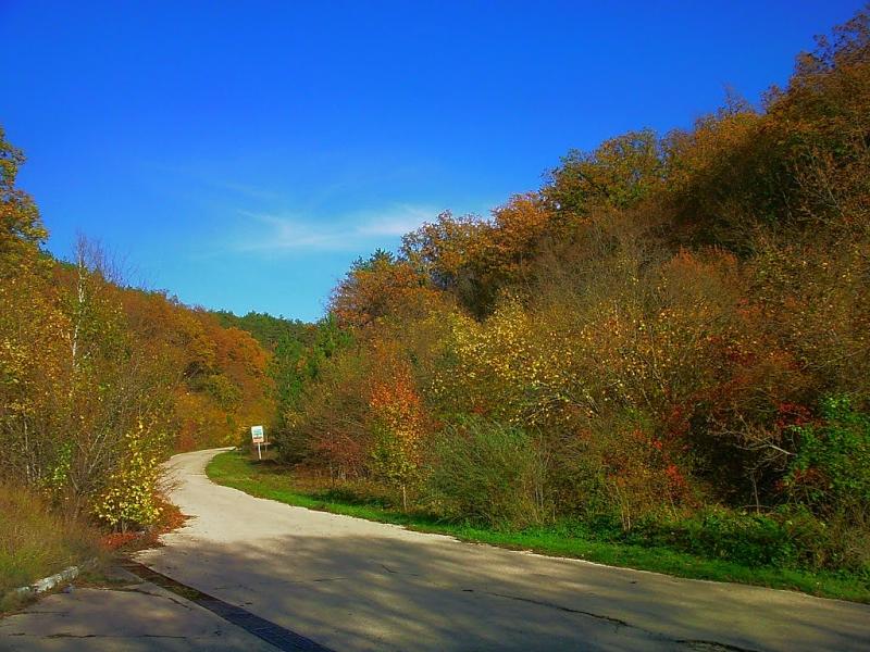 Нижня Голубинка з panoramio.com - Нижняя Голубинка