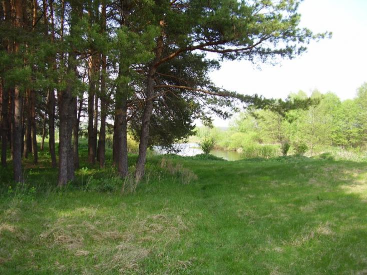 Старикове з panoramio.com - Стариково