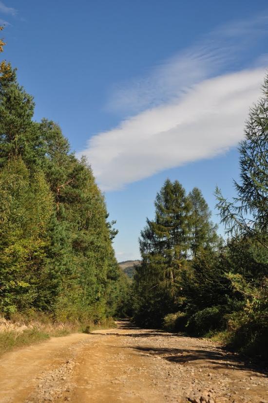 Поляниця з panoramio.com - Поляница