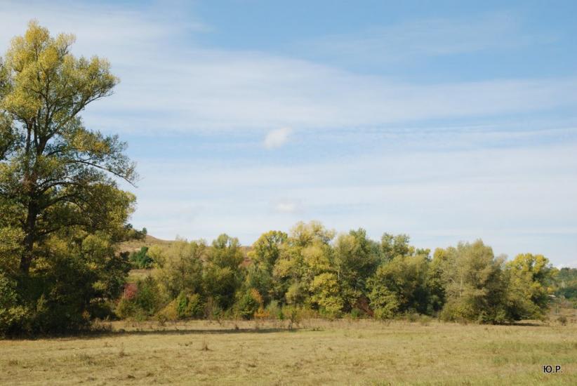 Глоди з panoramio.com - Glody