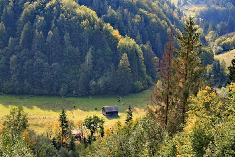 Брустурів з panoramio.com - Брустуров