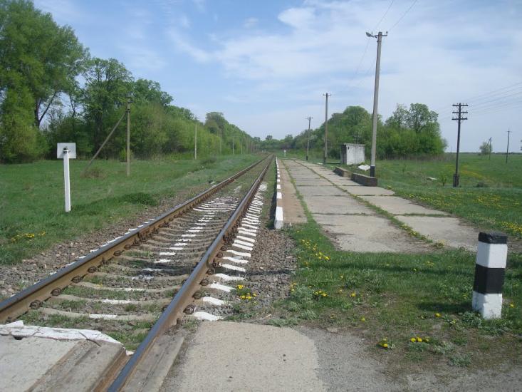 Старі Бейзими з panoramio.com - Старі Бейзими