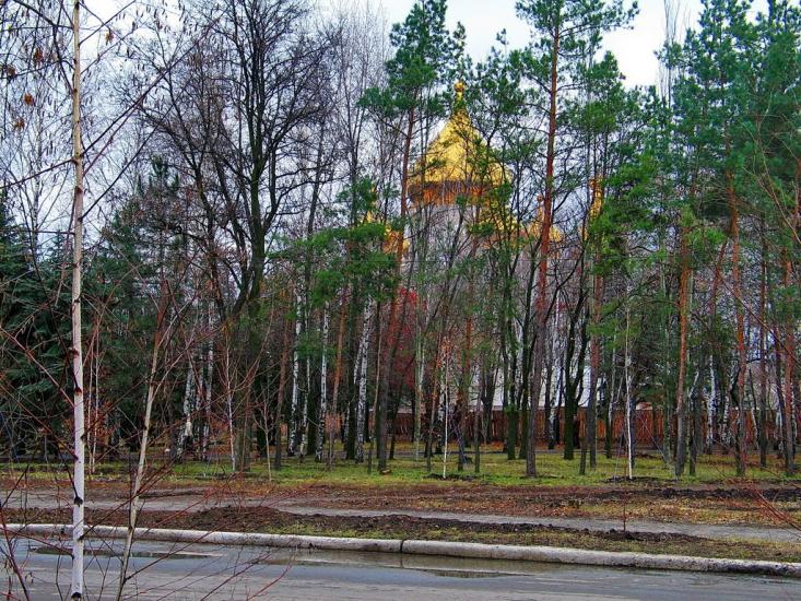 Жданівка з panoramio.com - Ждановка