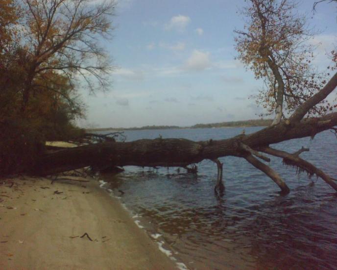 Шабельники з panoramio.com - Шабельники