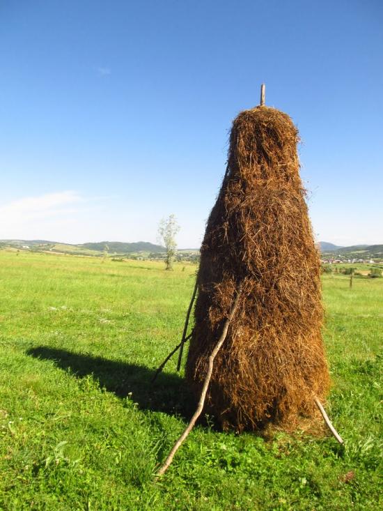 Бабче з panoramio.com - Бабче