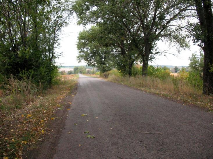 Шульгинка з panoramio.com - Шульгинка