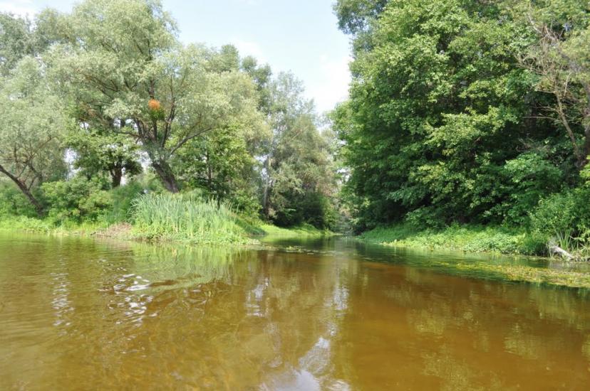 Лабурівка з panoramio.com - Лабуревка