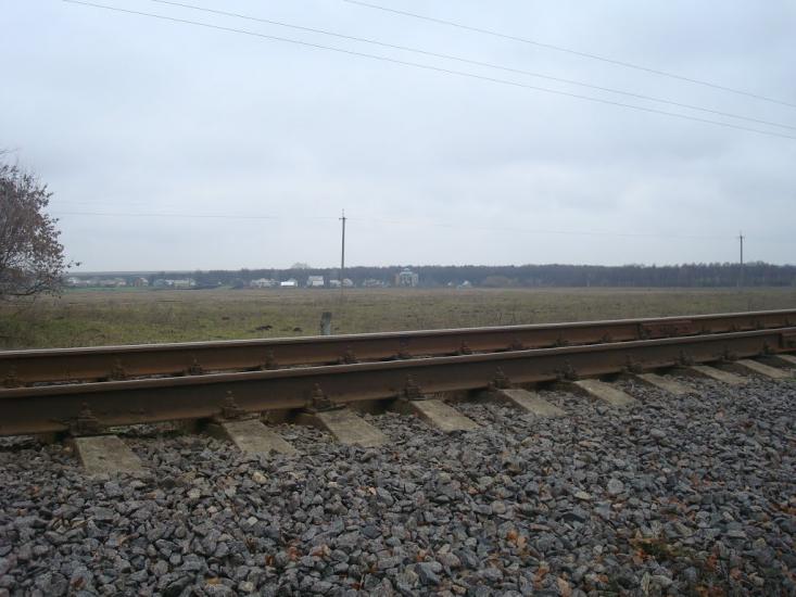 Воронківці з panoramio.com - Воронковцы