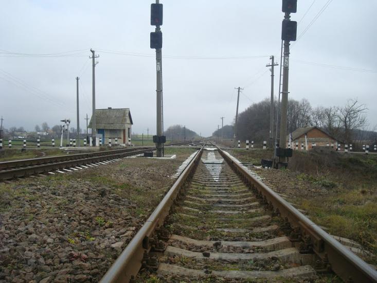 Воронківці з panoramio.com - Воронковцы