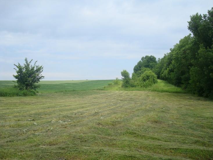 Городище з panoramio.com - Городище