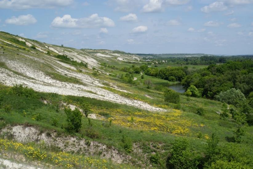 Лиман з panoramio.com - Лиман