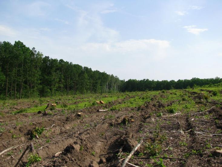 Циркуни з panoramio.com - Циркуни