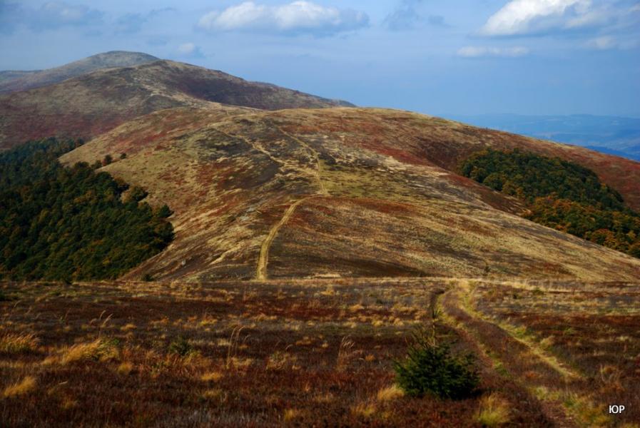 Потік з panoramio.com - Поток