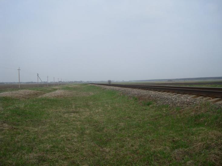 Великий Чернятин з panoramio.com - Великий Чернятин