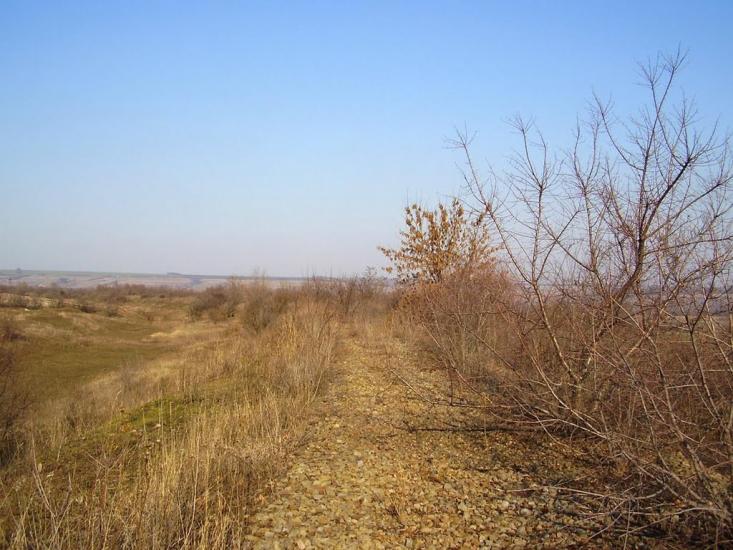 Фрунзе з panoramio.com - Фрунзе