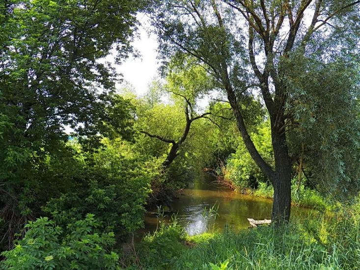 Верхня Кринка з panoramio.com - Верхня Кринка