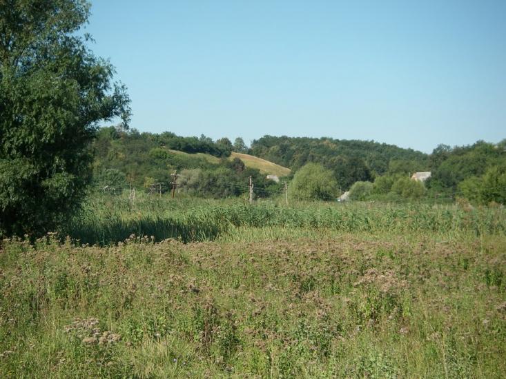 Хорол з panoramio.com - Khorol
