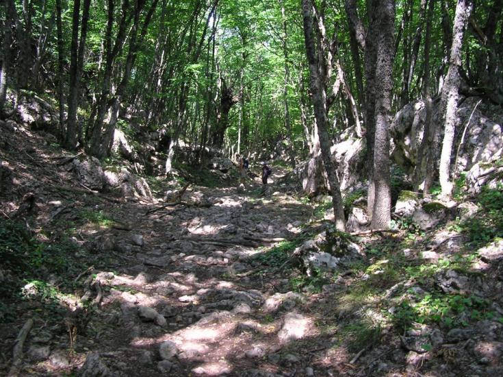 Колхозне з panoramio.com - Колхозное