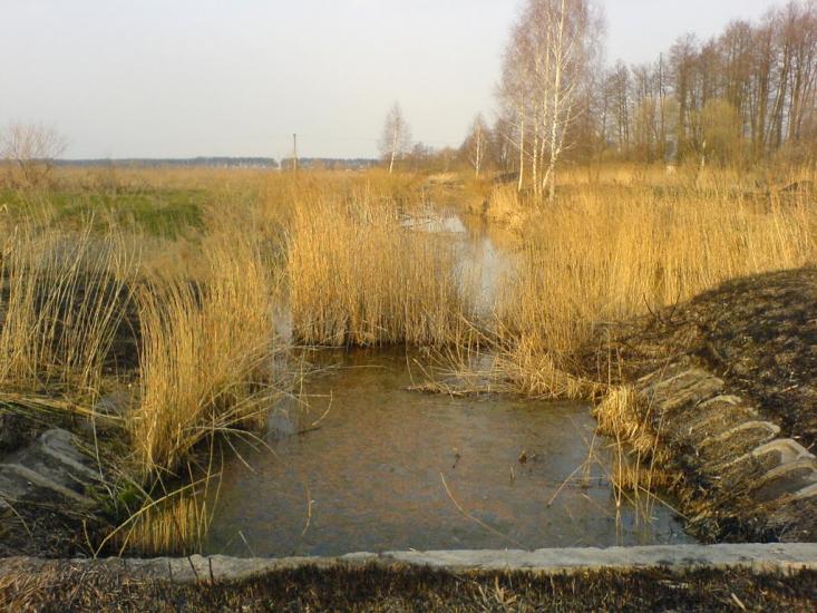 Віленька з panoramio.com - Vilenka