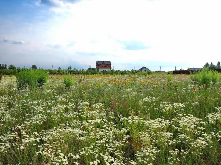 Малютянка з panoramio.com - Малютянка