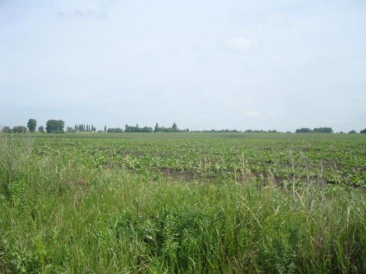 Черепова з panoramio.com - Черепова