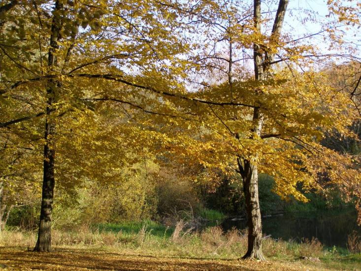 Віньківці з panoramio.com - Віньківці