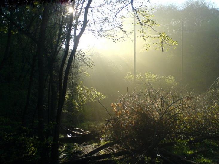 Сєверне з panoramio.com - Северное