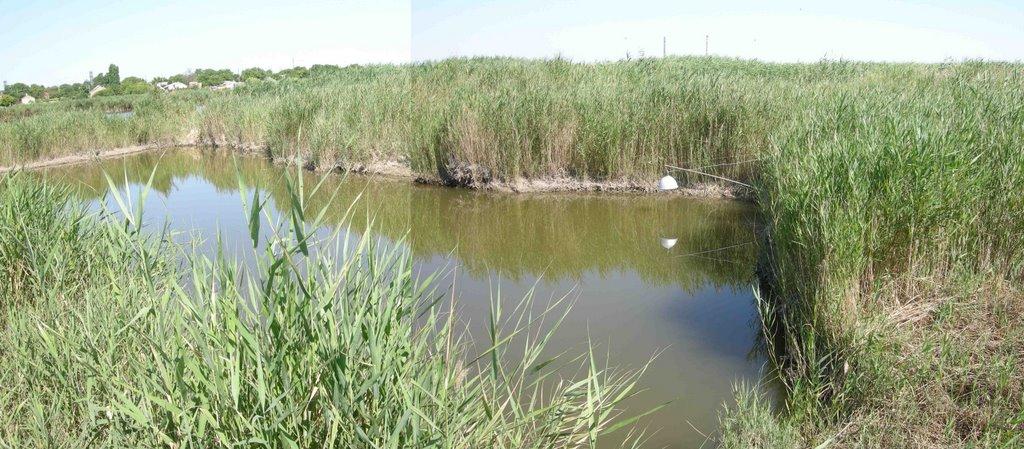 Красноперекопськ з panoramio.com - Красноперекопск