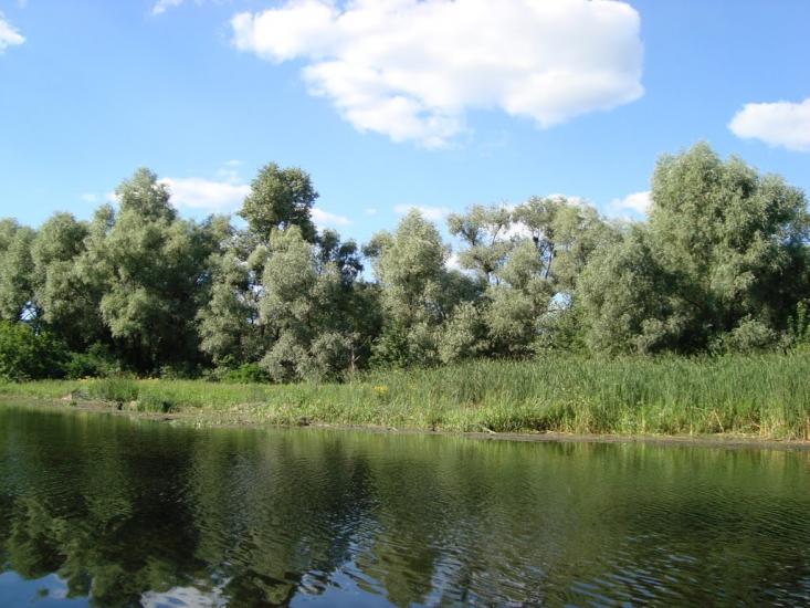 Келеберда з panoramio.com - Келеберда