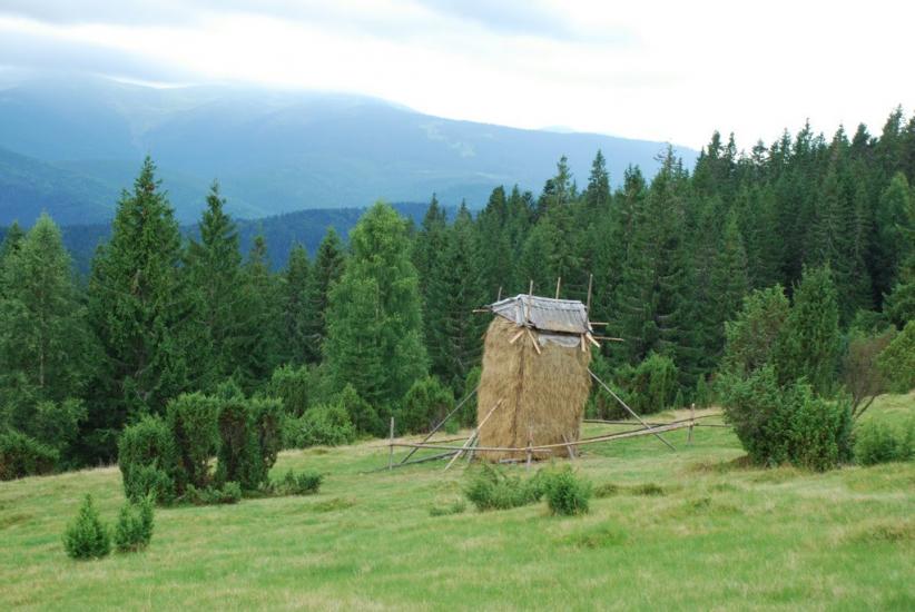 Згари з panoramio.com - Згари