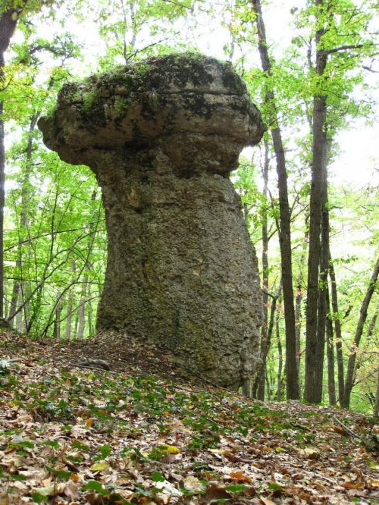 Дружне з panoramio.com - Дружне