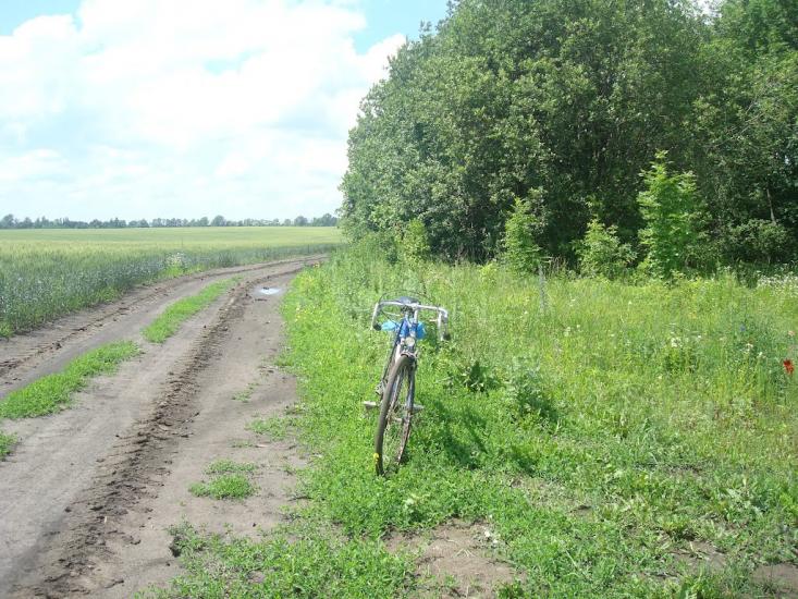 Малашівці з panoramio.com - Малашевцы