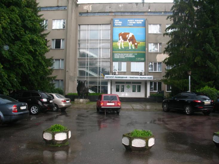 Чубинське з panoramio.com - Чубинське