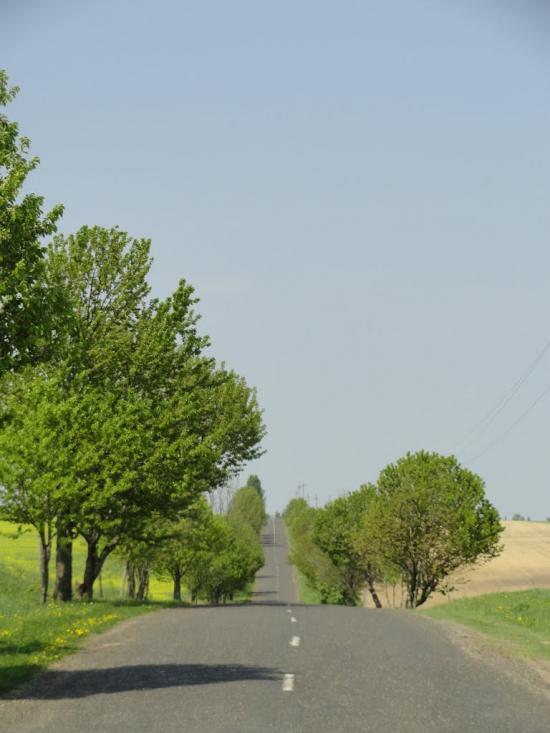 Верхівка з panoramio.com - Верховка