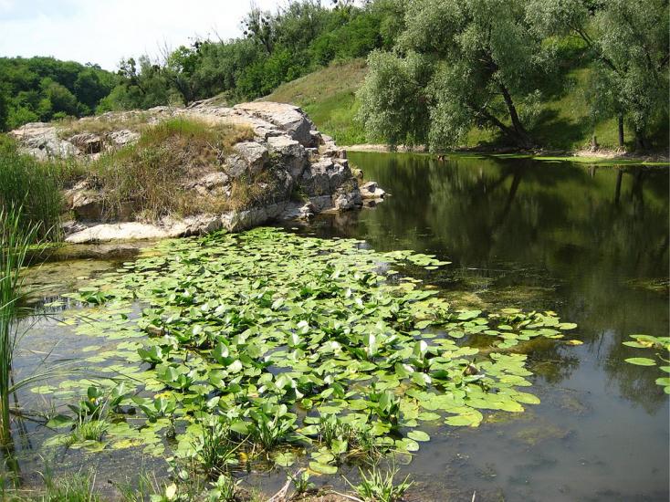 Пляківка з panoramio.com - Пляківка