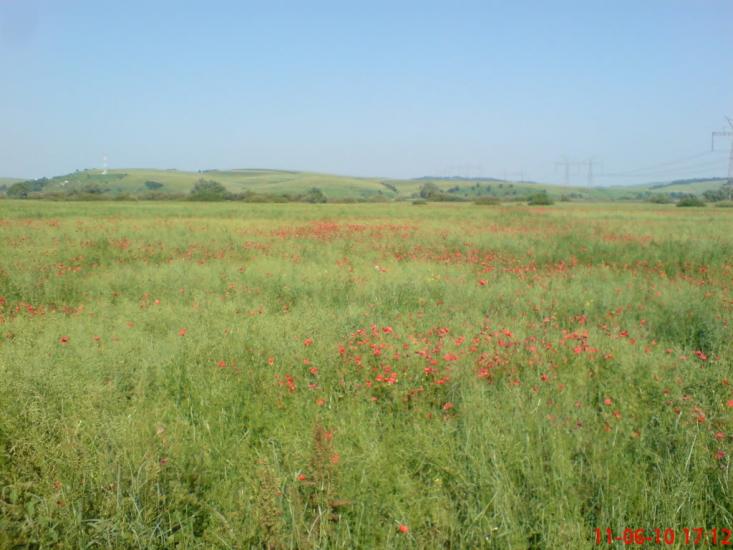 Насташине з panoramio.com - Насташине