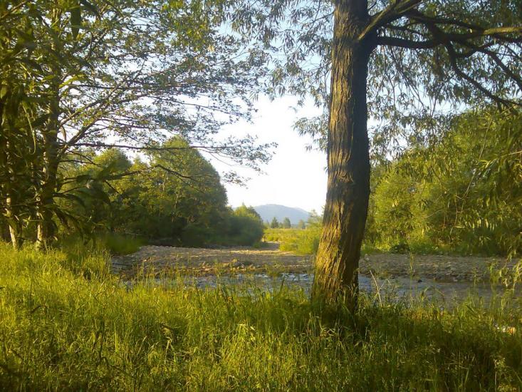 Гриньків з panoramio.com - Гриньків